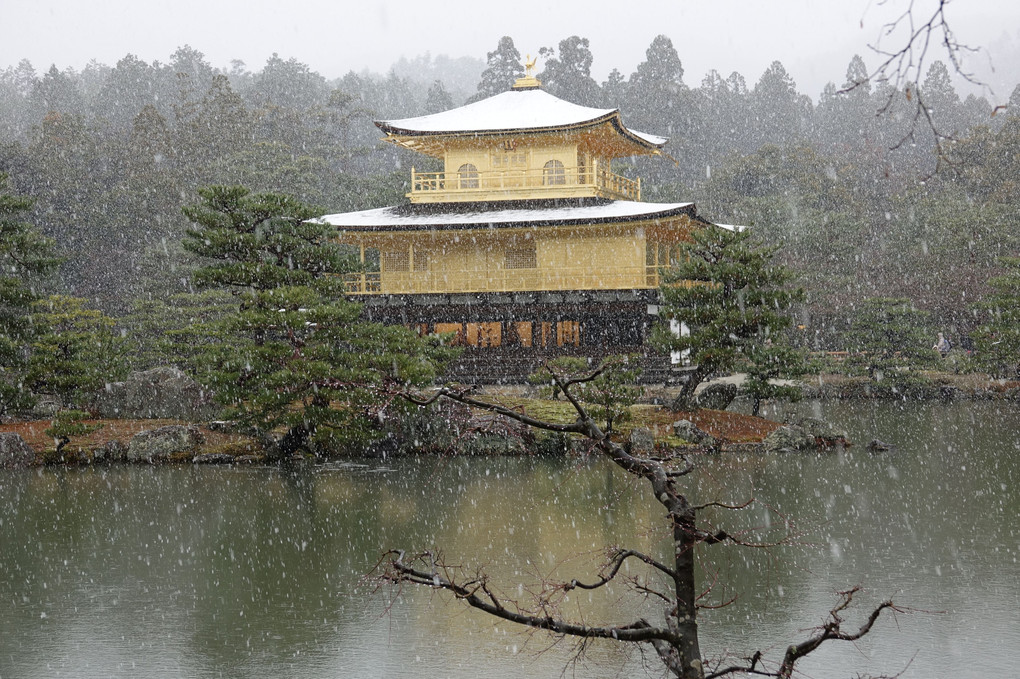 「雪の金閣寺」