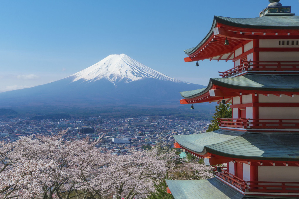 富士山、忠霊塔、桜の勢揃い