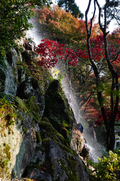 佐賀・十可苑・文殊の滝の秋