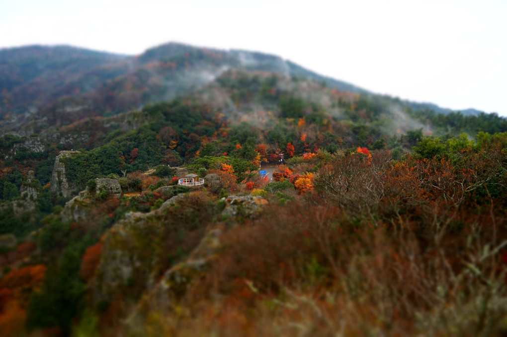 小豆島の秋