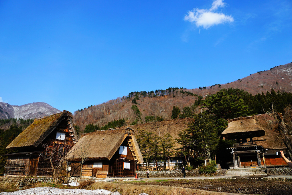 茅葺屋根の里