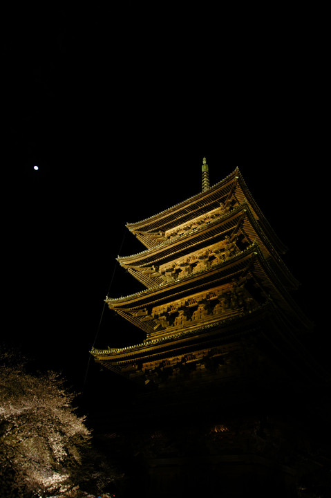 京都　東寺ライトアップ②