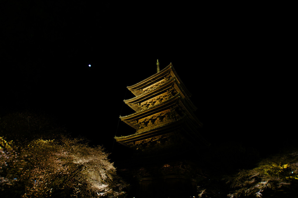 京都　東寺ライトアップ②