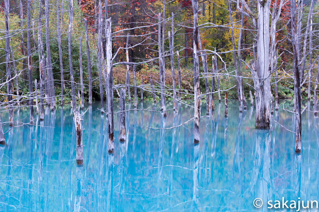 色彩の青い池