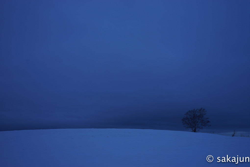 夕暮れの青い丘