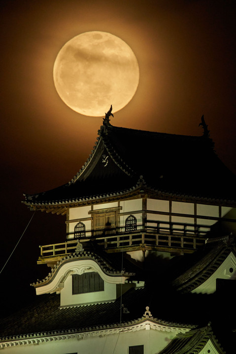 犬山城と四月の月