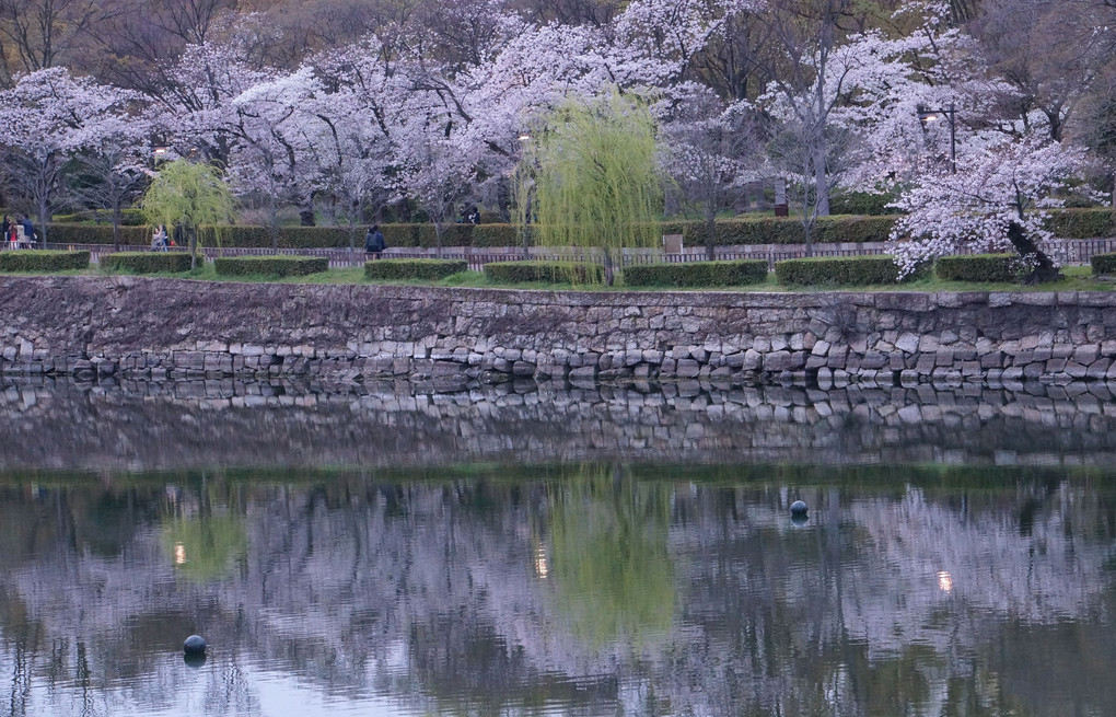 大阪城の春