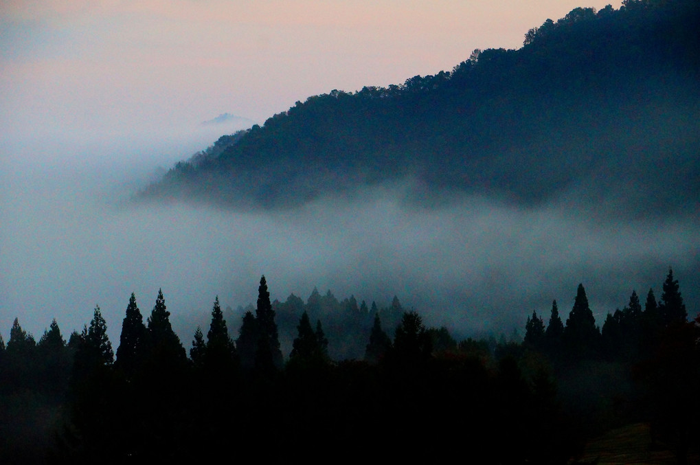 早朝の雲海