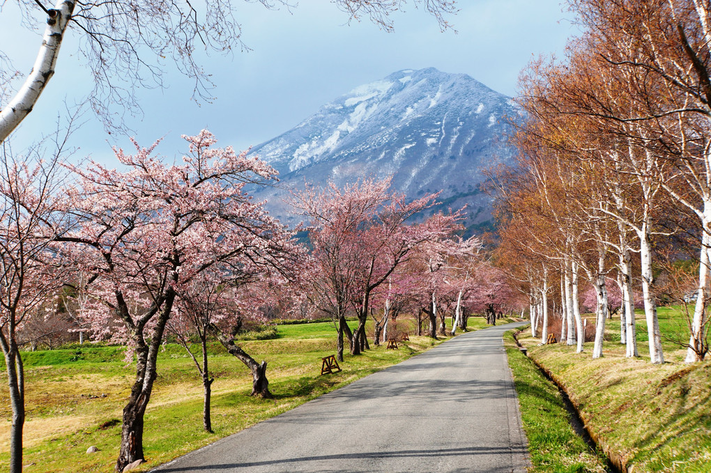 磐梯山の春