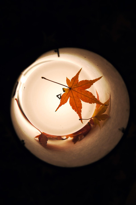 秋の灯り