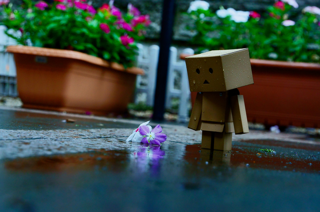 broken heart in the rain