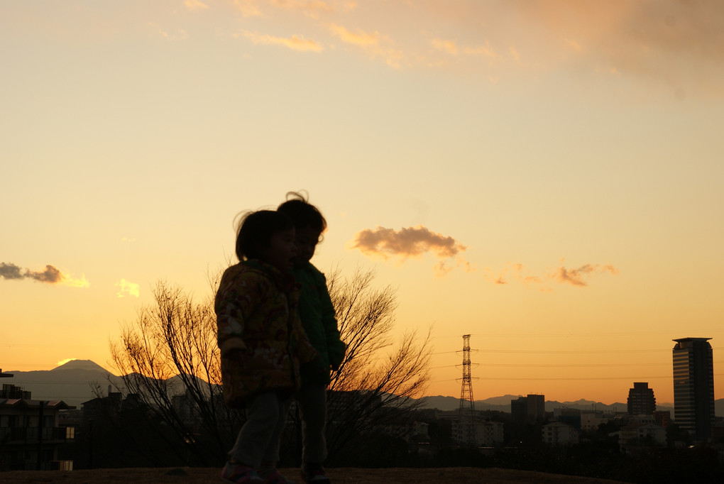 東京都多摩市からの富士