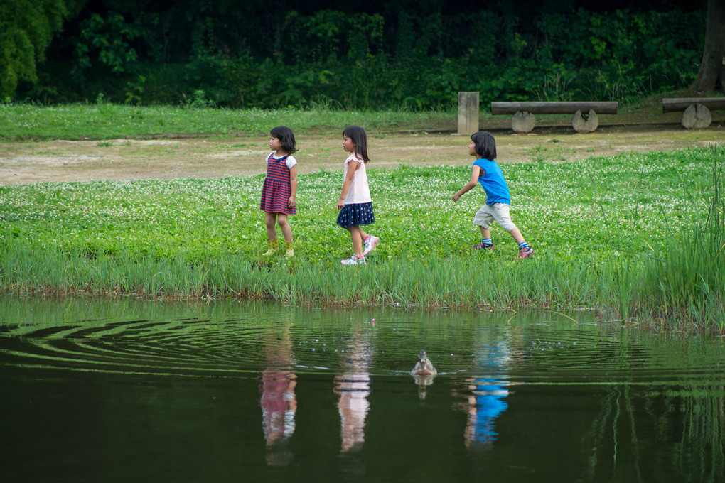 kouji tomihisa公園