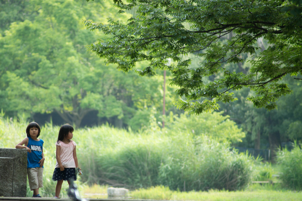 kouji tomihisa公園