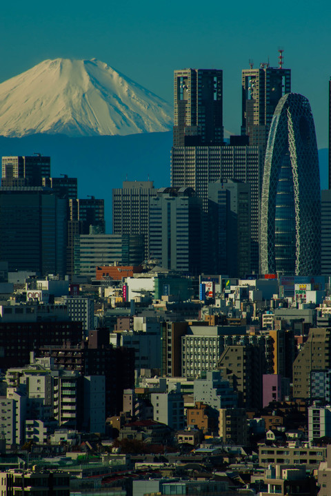 都庁と富士