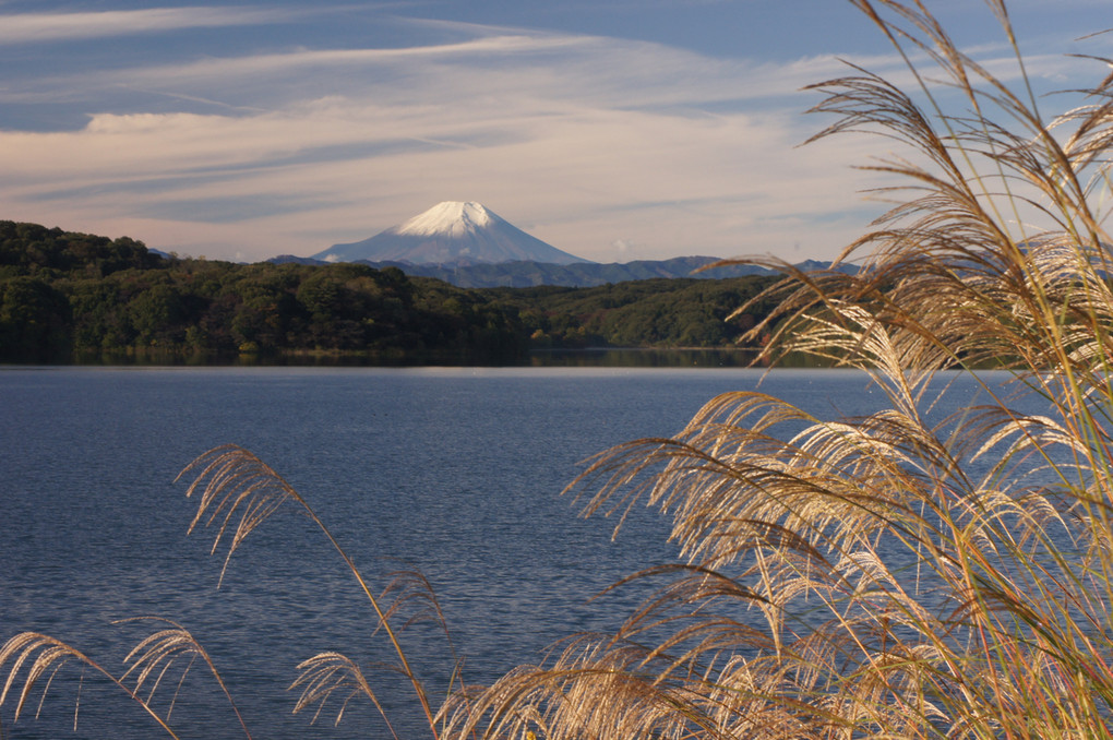 狭山湖からの富士その２
