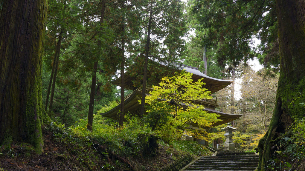 初冬の寺風景