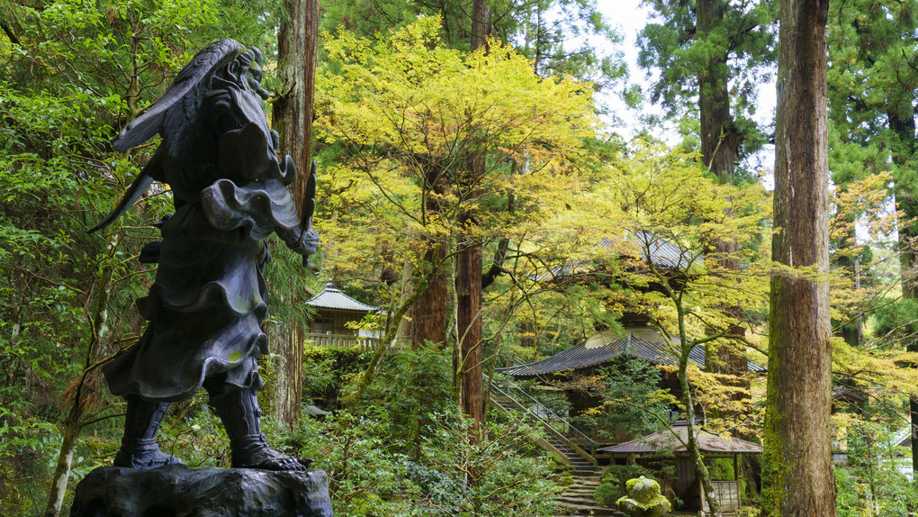 初冬の寺風景