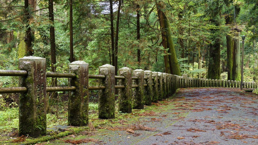 初冬の寺風景