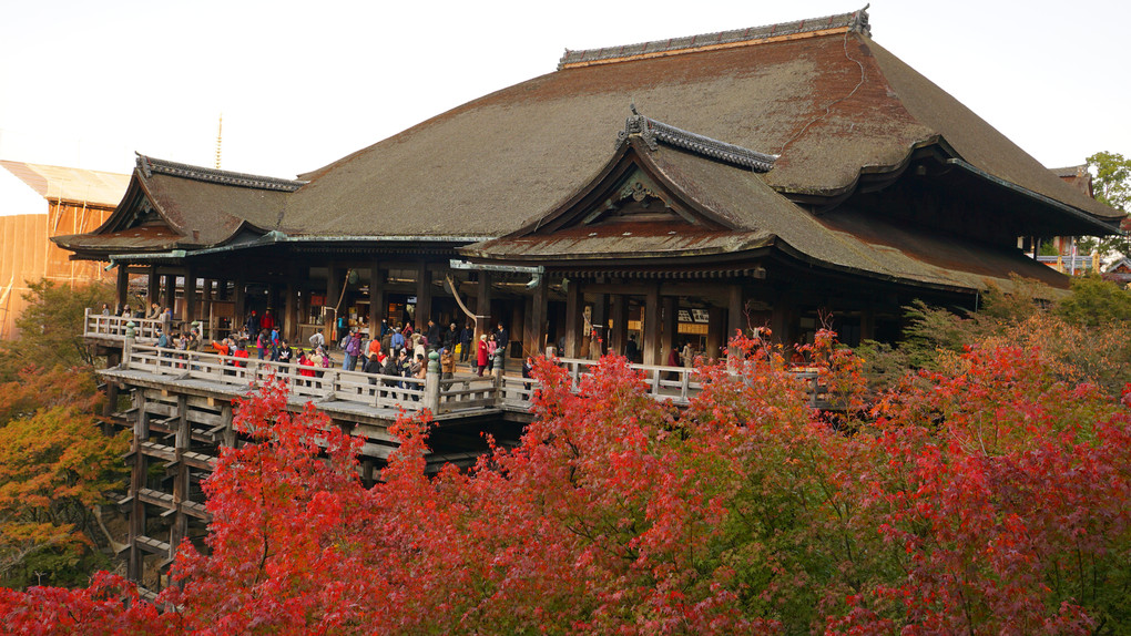 2014-11@清水寺