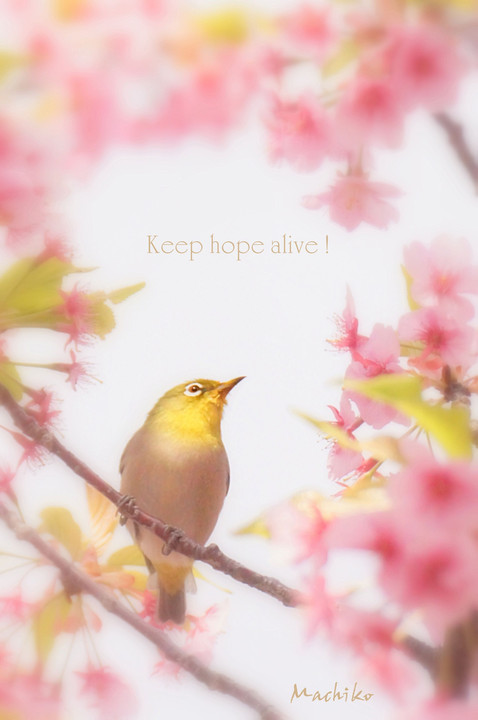 Keep hope alive～希望を持ち続けて～