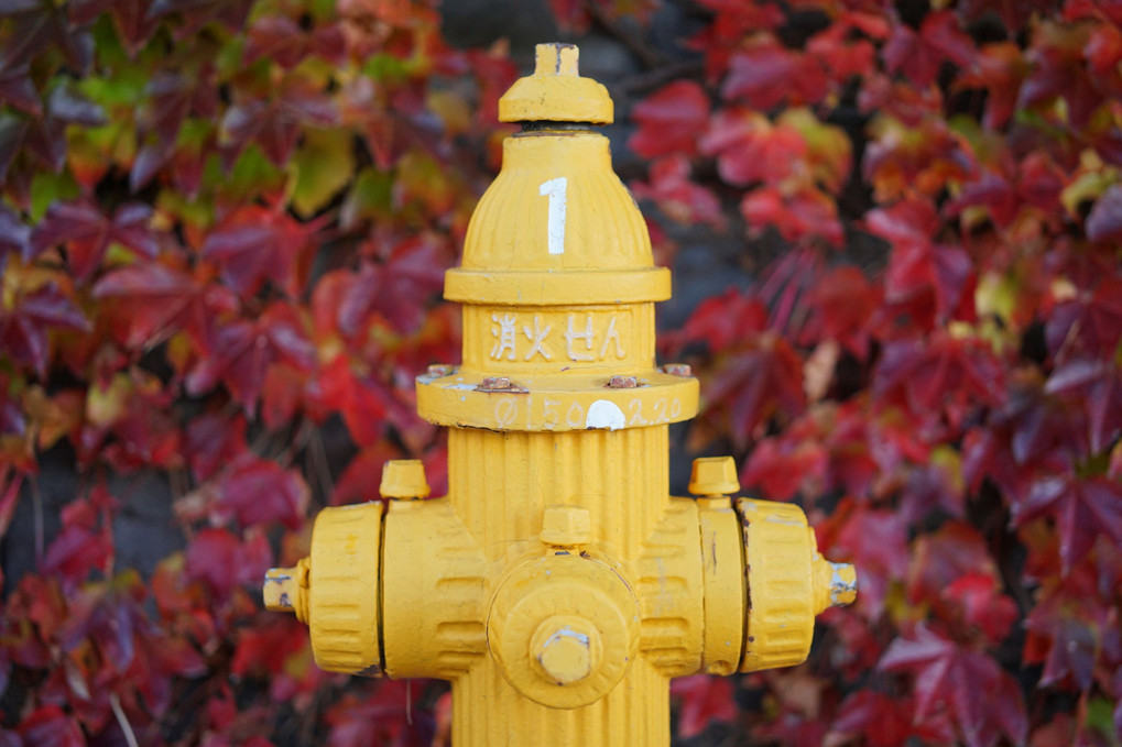 秋の消火栓