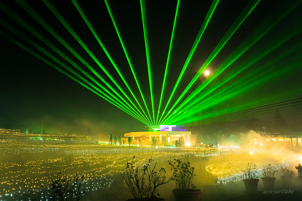 Illuminatioms in IBARAKI flower park