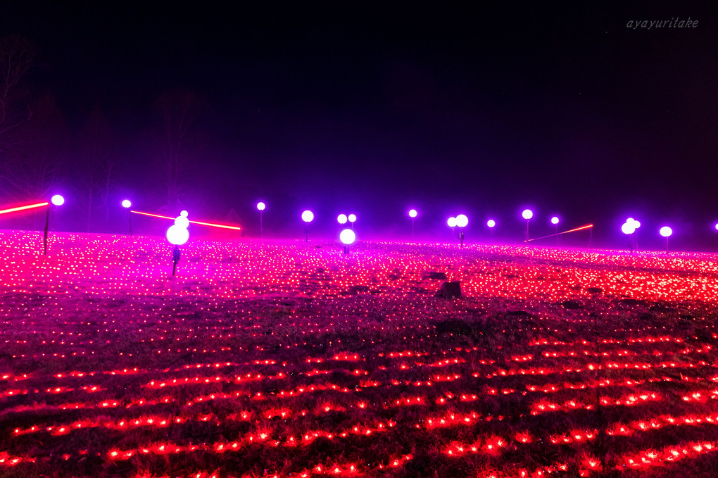 Illuminatioms in IBARAKI flower park