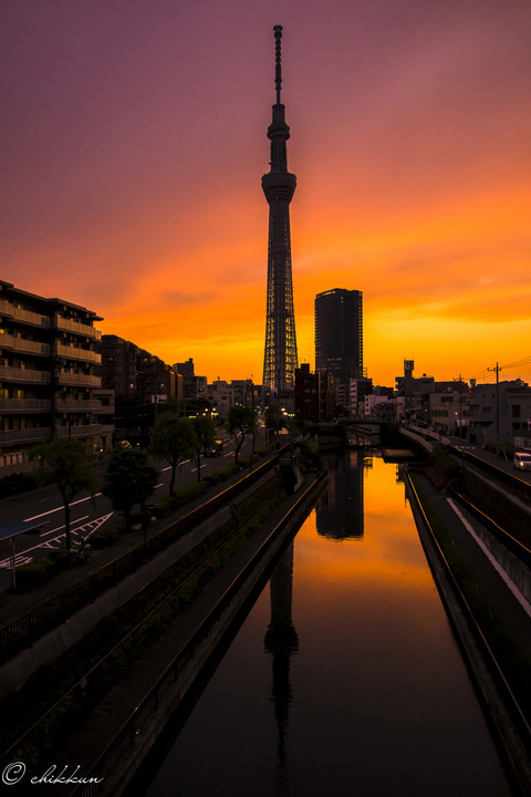 Tokyo Twilight Sky Tree