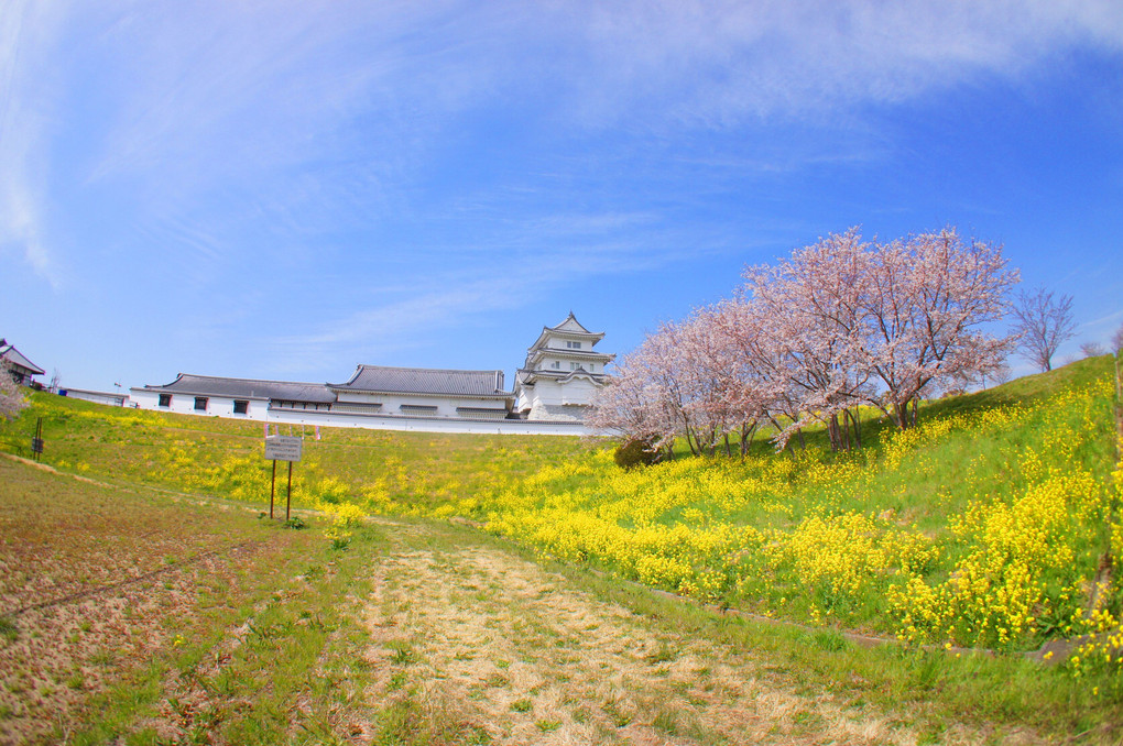 関宿城の春