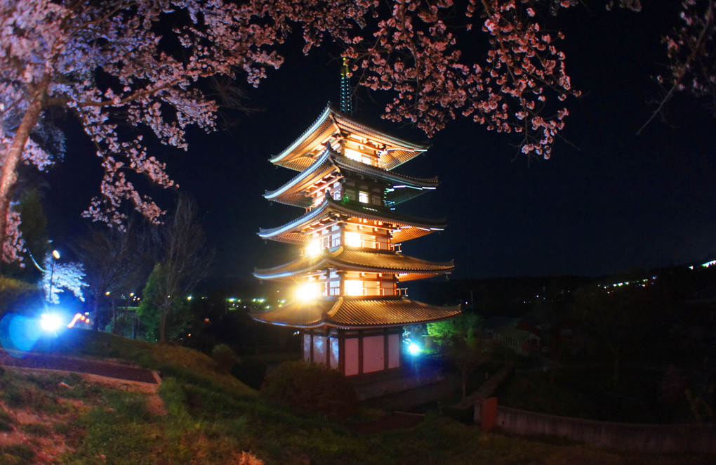 桜と浮かぶ塔