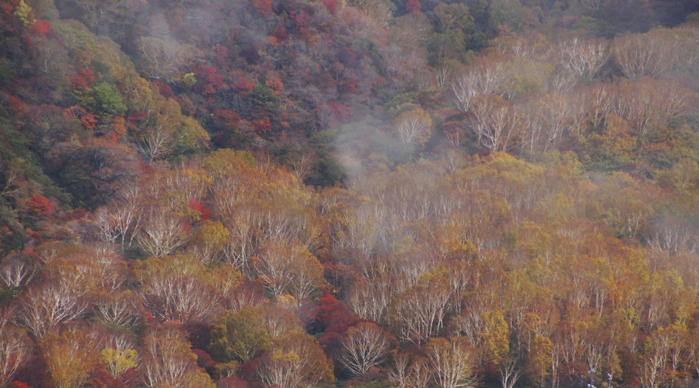 茶臼岳の秋