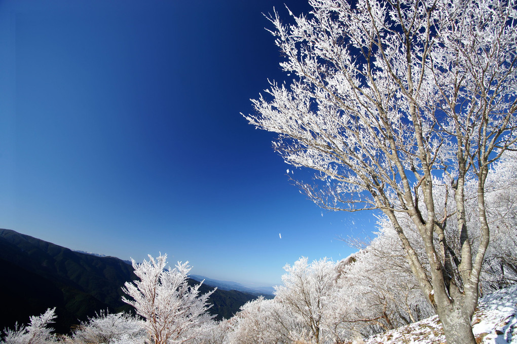 霧氷