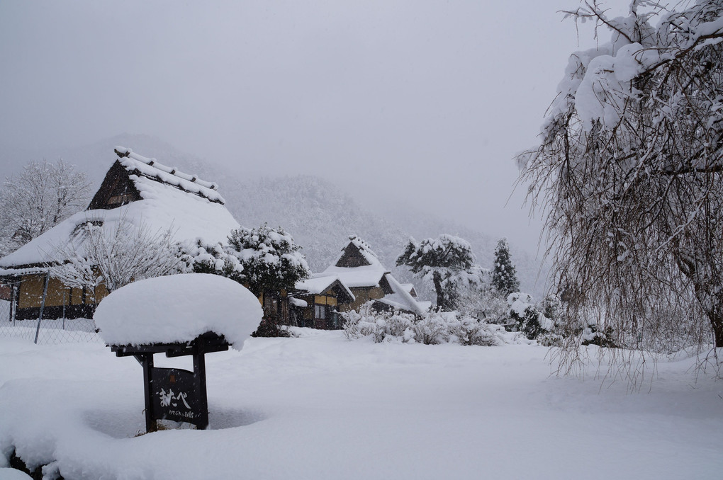 新雪の京の奥座敷