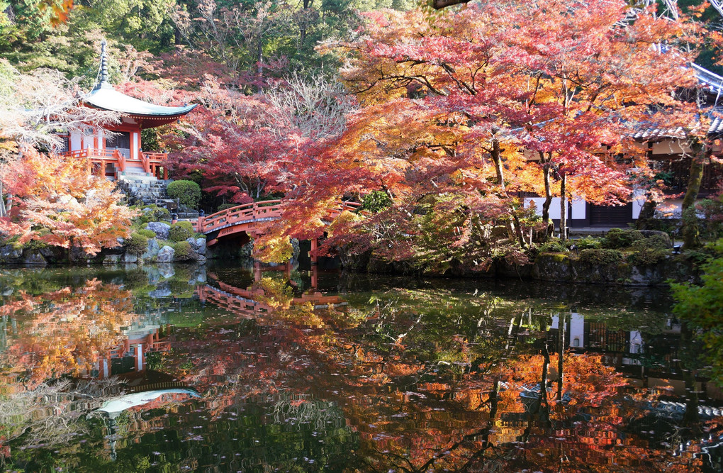 醍醐寺の秋　水鏡