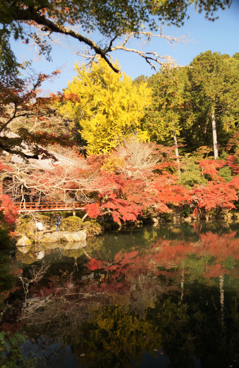 醍醐寺弁天池の秋