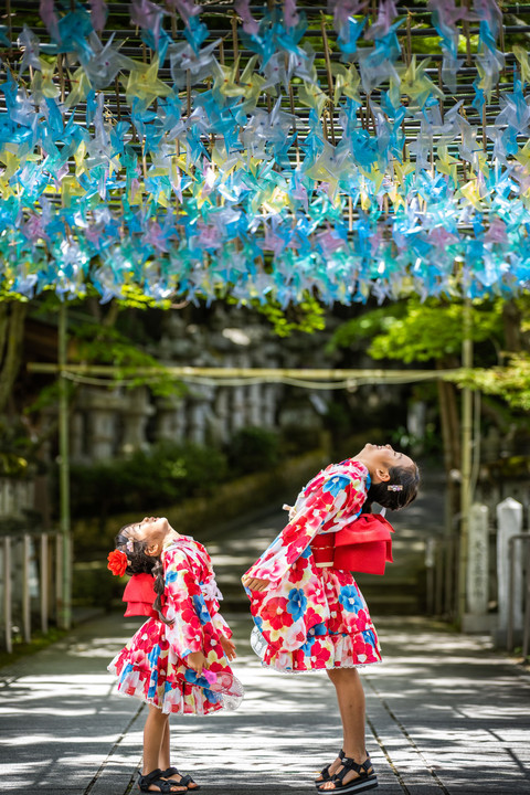 見上げてごらん