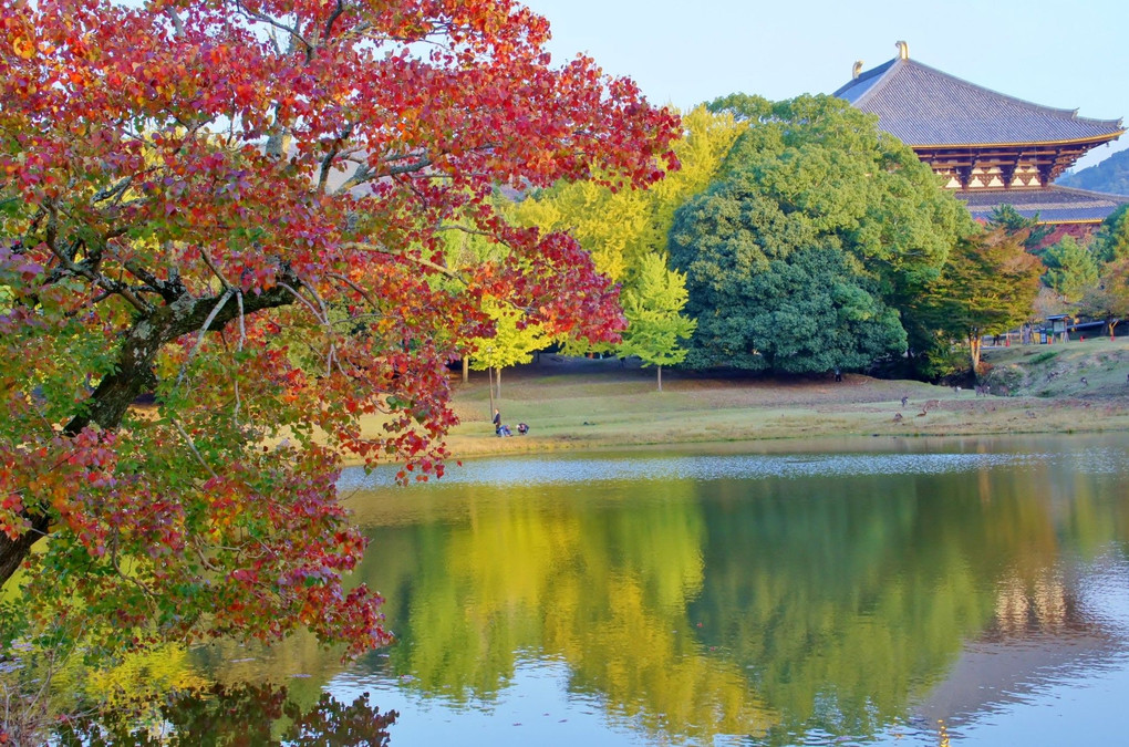 秋の大仏池