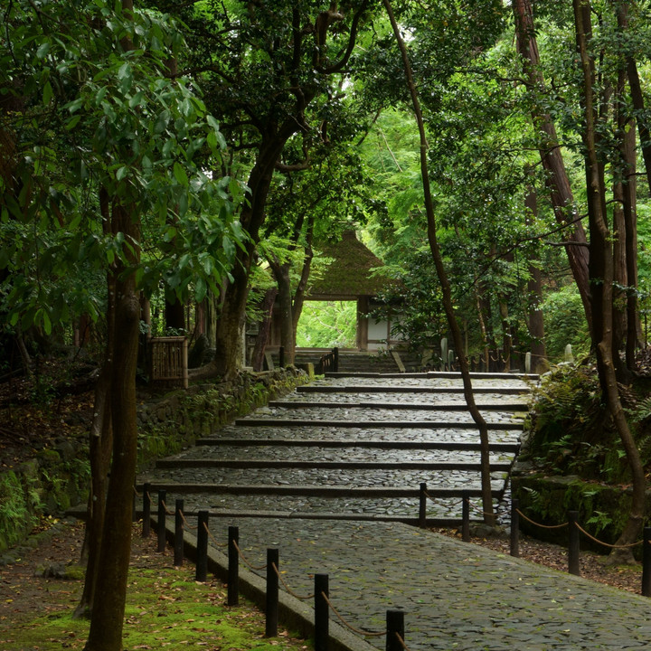 法然院 アプローチ