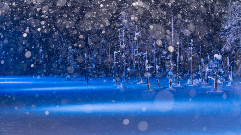 青い池のライトアップ（雪ver．）