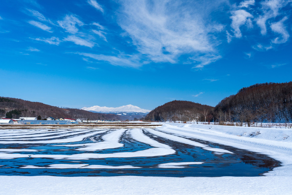 融雪剤が描く春の美瑛風景。。