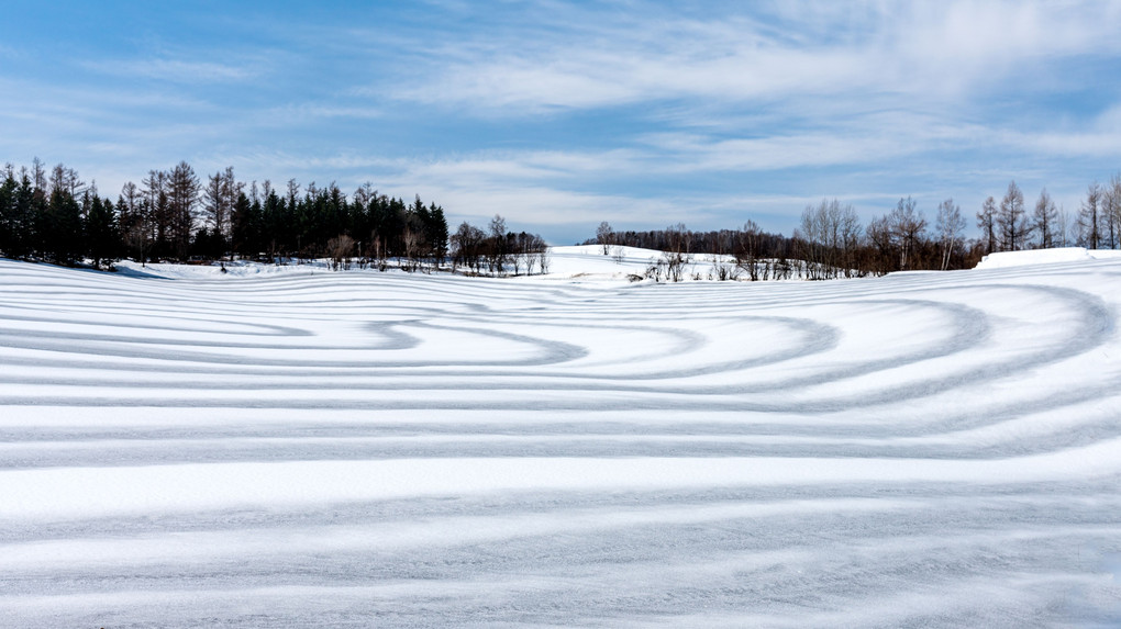 融雪剤が描く春の美瑛風景。。２