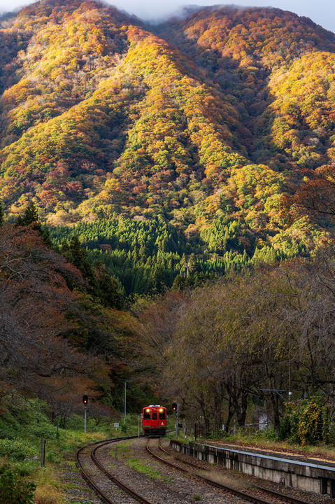 全山紅葉の中を走る。。