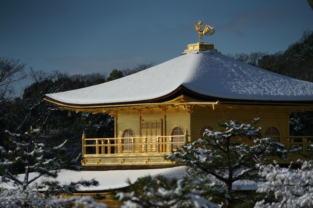雪の金閣寺その１