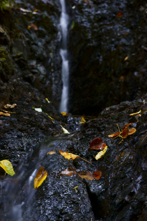 秋色の小滝