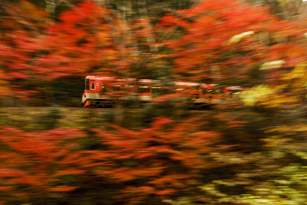 電車で紅葉狩り