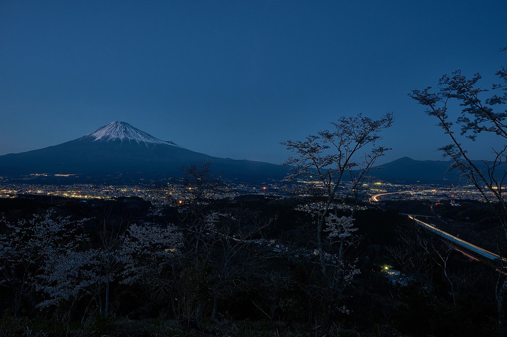 平成最後の桜と富士山