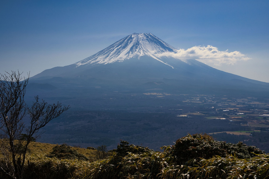 竜が岳からの富士山 ２