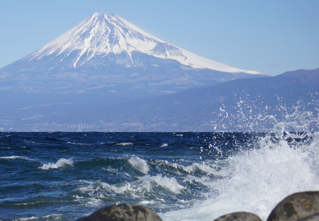 富士と海