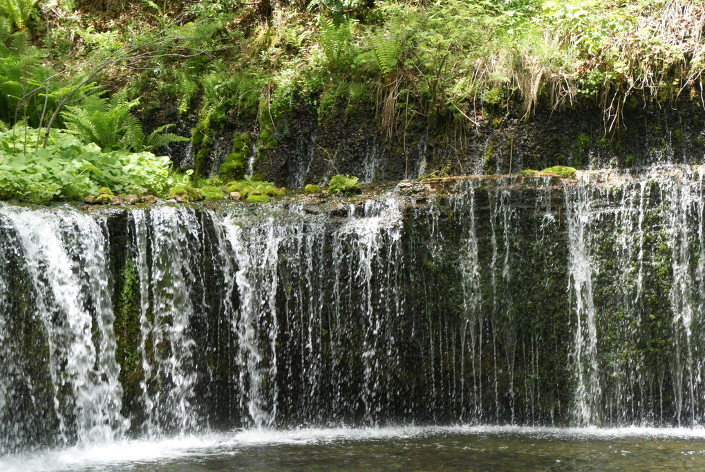 初夏の白糸の滝2